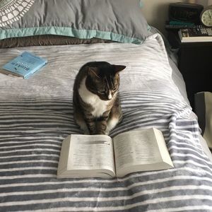 Meet your Posher, Sandi